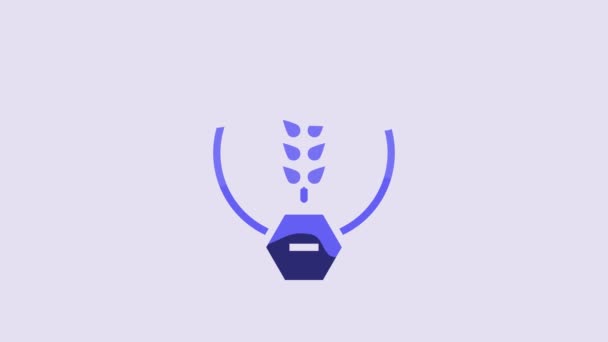 Blue Gluten Free Grain Icon Isolated Purple Background Wheat Sign — Stockvideo