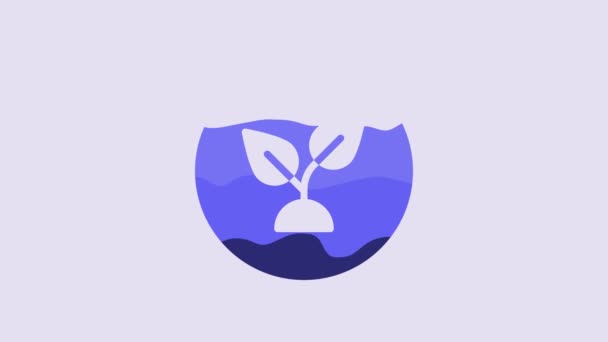 Icono Basado Planta Azul Aislado Sobre Fondo Púrpura Animación Gráfica — Vídeos de Stock