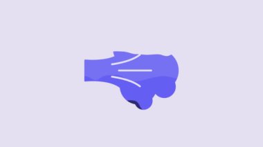 Blue Paint spray icon isolated on purple background. 4K Video motion graphic animation.