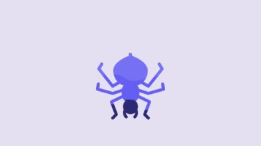 Blue Spider icon isolated on purple background. Happy Halloween party. 4K Video motion graphic animation.