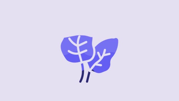 Blue Tropical Leaves Palm Tree Icon Isolated Purple Background Video — Stok Video