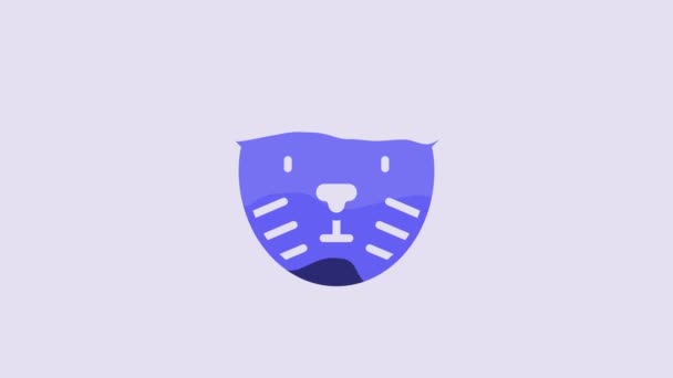 Blue Tiger Head Icon Isolated Purple Background Video Motion Graphic — Stok video
