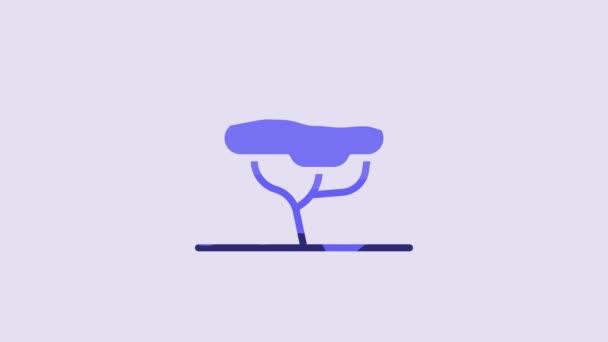 Иконка Синего Африканского Дерева Выделена Фиолетовом Фоне Баобаб Акация Другие — стоковое видео
