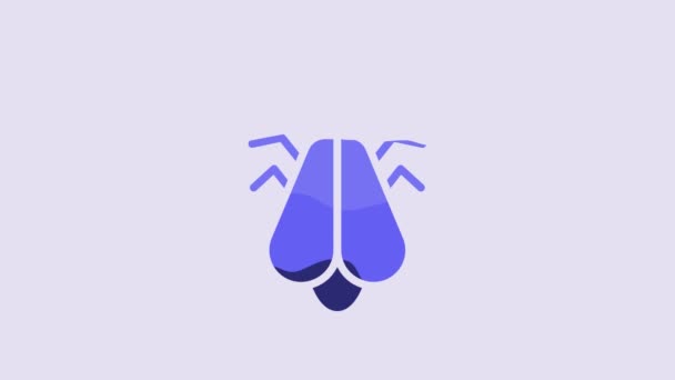 Icône Moustique Bleu Isolé Sur Fond Violet Animation Graphique Mouvement — Video