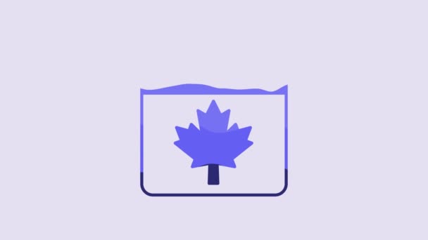 Mor Arka Planda Akçaağaç Yaprağı Ikonu Olan Mavi Kanada Günü — Stok video