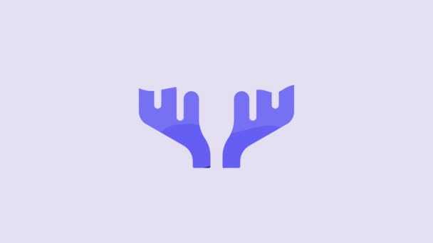 蓝色鹿角图标孤立在紫色背景 在墙上打猎奖杯 4K视频运动图形动画 — 图库视频影像