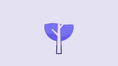 Blue Tree icon isolated on purple background. Forest symbol. 4K Video motion graphic animation.