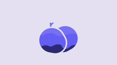 Blue Mango fruit icon isolated on purple background. 4K Video motion graphic animation.