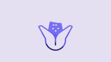 Blue Corn icon isolated on purple background. 4K Video motion graphic animation.