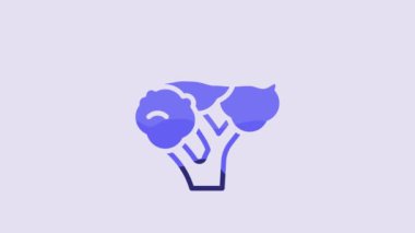 Blue Broccoli icon isolated on purple background. 4K Video motion graphic animation.