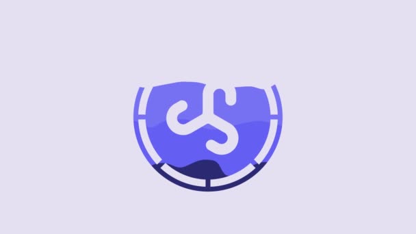 Blue Shield Viking Icon Isolated Purple Background Wooden Shield Security — Stok Video