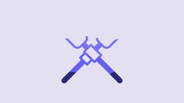 Blue Oars Paddles Boat Icon Isolated Purple Background Video Motion — Wideo stockowe