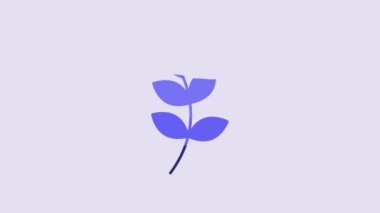 Blue Willow leaf icon isolated on purple background. 4K Video motion graphic animation.