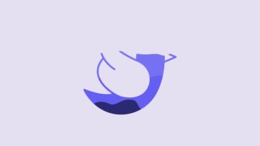 Blue Dove icon isolated on purple background. 4K Video motion graphic animation.