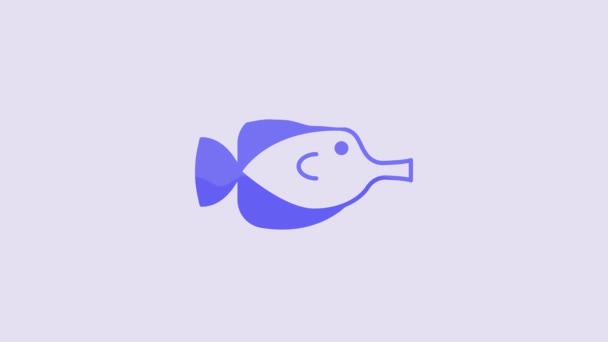 Blue Butterfly Fish Icon Isolated Purple Background Video Motion Graphic — Stock Video