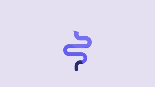Ícone Serpente Azul Isolado Fundo Roxo Animação Gráfica Movimento Vídeo — Vídeo de Stock