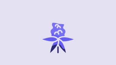 Blue Lupine flower icon isolated on purple background. 4K Video motion graphic animation.