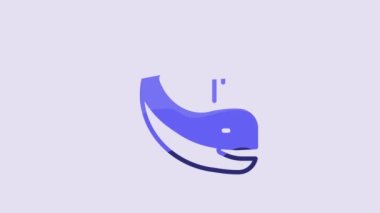 Blue Whale icon isolated on purple background. 4K Video motion graphic animation.