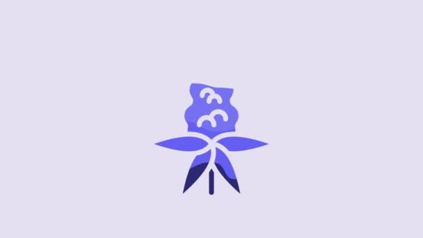 紫色の背景に分離されたブルールパンの花アイコン 4Kビデオモーショングラフィックアニメーション — ストック動画