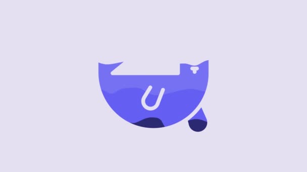 紫色の背景に隔離された青い毛皮のアザラシ動物のアイコン 4Kビデオモーショングラフィックアニメーション — ストック動画