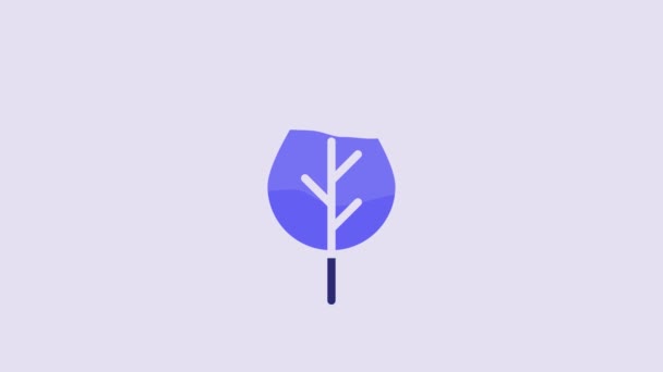 青い葉紫色の背景に隔離されたエコシンボルアイコン バナー ラベル エコグリーンのステッカー 4Kビデオモーショングラフィックアニメーション — ストック動画
