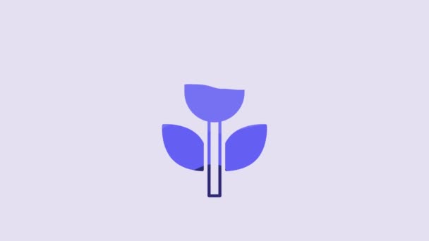 Icono Macro Modo Foto Azul Aislado Sobre Fondo Púrpura Animación — Vídeo de stock