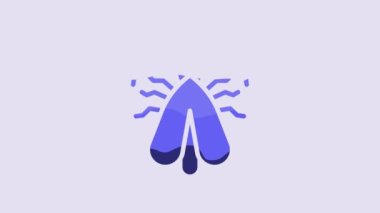 Blue Clothes moth icon isolated on purple background. 4K Video motion graphic animation.