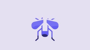 Blue Insect fly icon isolated on purple background. 4K Video motion graphic animation.