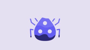 Blue Ladybug icon isolated on purple background. 4K Video motion graphic animation.