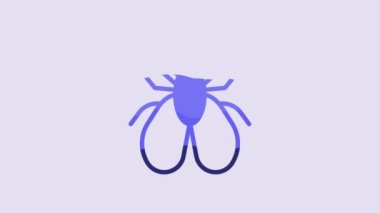 Blue Insect fly icon isolated on purple background. 4K Video motion graphic animation.