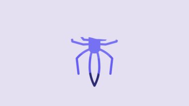 Blue Spider icon isolated on purple background. Happy Halloween party. 4K Video motion graphic animation.