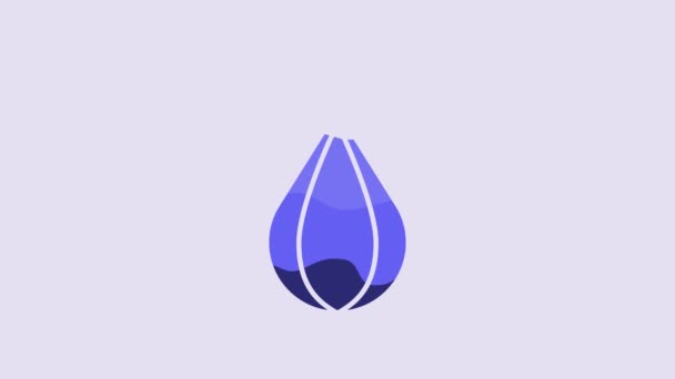 Блакитна Піктограма Мішка Ізольована Фіолетовому Фоні Відео Рух Графічна Анімація — стокове відео