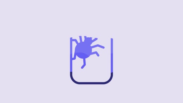 Blue Spider Jar Icon Isolated Purple Background Happy Halloween Party — Stok Video
