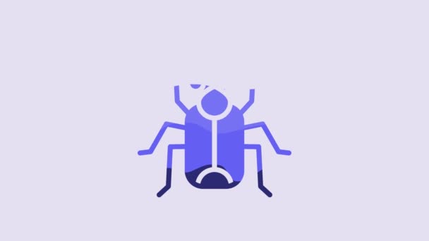 Blue Beetle Bug Icon Isolated Purple Background Video Motion Graphic — Stockvideo
