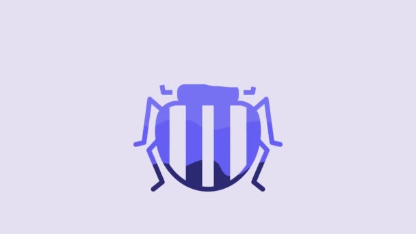 Escarabajo Azul Colorado Icono Aislado Sobre Fondo Púrpura Animación Gráfica — Vídeos de Stock