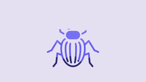 Blue Chafer Beetle Icon Isolated Purple Background Video Motion Graphic — Stockvideo