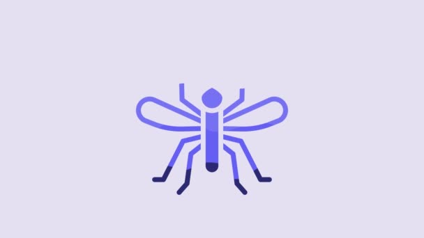 Blue Mosquito Icon Isolated Purple Background Video Motion Graphic Animation — Stock Video