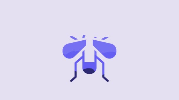 Mavi Böcek Sineği Ikonu Mor Arkaplanda Izole Edilmiş Video Hareketli — Stok video