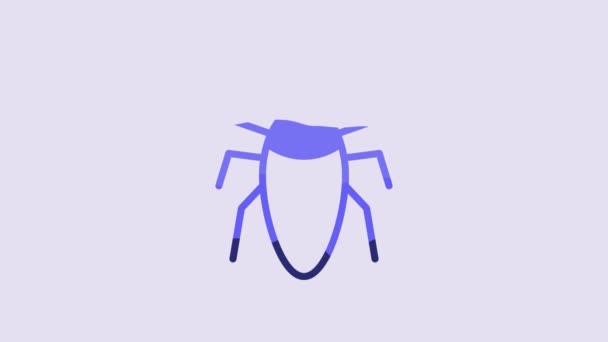 Mavi Hamamböceği Simgesi Mor Arkaplanda Izole Edilmiş Video Hareketli Grafik — Stok video