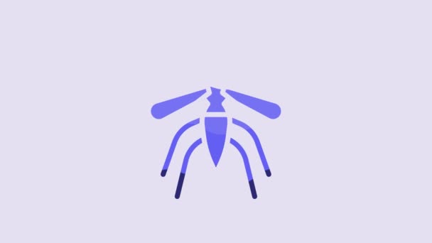 Blue Mosquito Icon Isolated Purple Background Video Motion Graphic Animation — Stock video