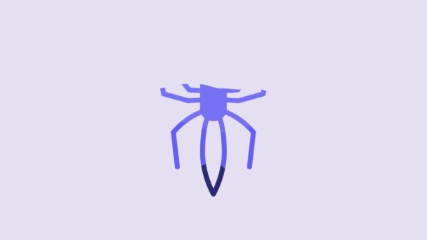 Μπλε Spider Εικονίδιο Απομονώνονται Μωβ Φόντο Καλό Αποκριάτικο Πάρτι Γραφική — Αρχείο Βίντεο