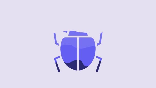 Blue Mite Icon Isolated Purple Background Video Motion Graphic Animation — Stock Video