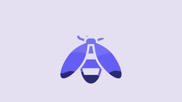 Blue Bee Icon Isolated Purple Background Sweet Natural Food Honeybee — Vídeo de Stock