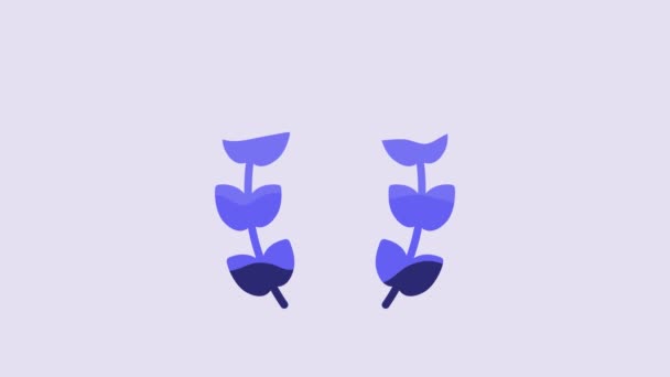 Blue Laurel Wreath Icon Isolated Purple Background Triumph Symbol Video — Video