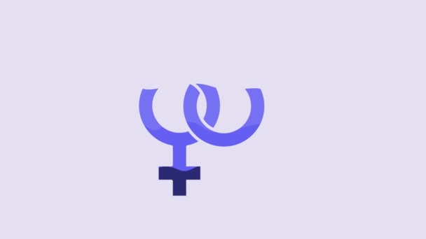 Синий Значок Gender Выделен Фиолетовом Фоне Символы Мужчин Женщин Секс — стоковое видео