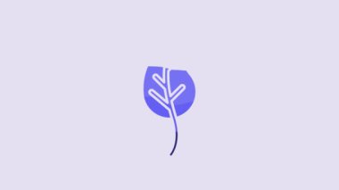 Blue Leaf icon isolated on purple background. Leaves sign. Fresh natural product symbol. 4K Video motion graphic animation.