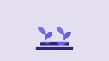 Blue Automatic irrigation sprinklers icon isolated on purple background. Watering equipment. Garden element. Spray gun icon. 4K Video motion graphic animation.