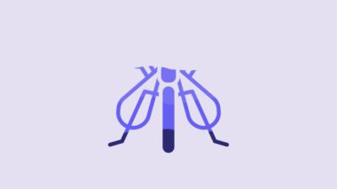 Blue Experimental insect icon isolated on purple background. 4K Video motion graphic animation.