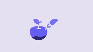 Blue Genetically modified apple icon isolated on purple background. GMO fruit. Syringe being injected to apple. 4K Video motion graphic animation.