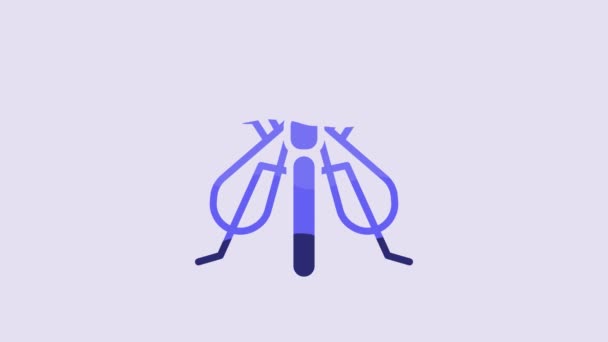 Blue Experimental Insect Icon Isolated Purple Background Video Motion Graphic — Stok video